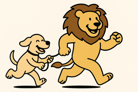 Paws on the Pavement: What to Know Before Taking Your Dog for a Run