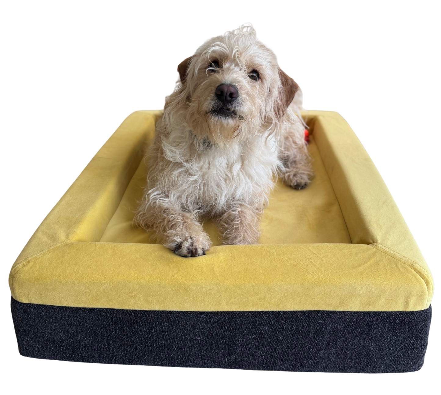 The Good Dog Bed
