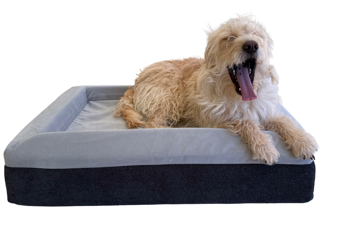The Good Dog Bed