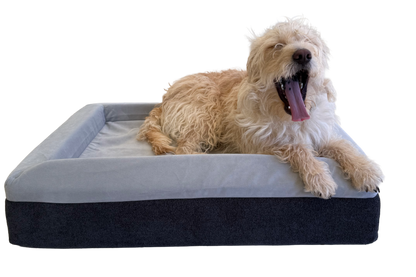 The Good Dog Bed