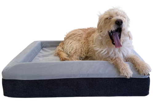 The Good Dog Bed